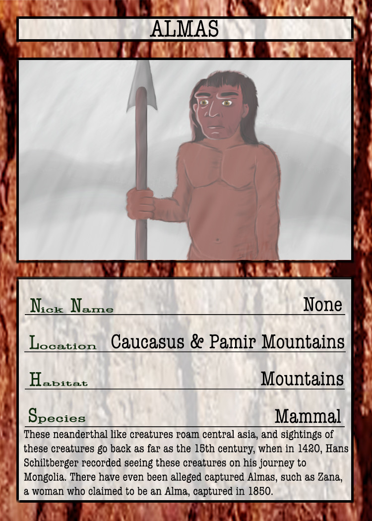 ArtStation - Cryptid Quest Cards (Seasons 1-5)