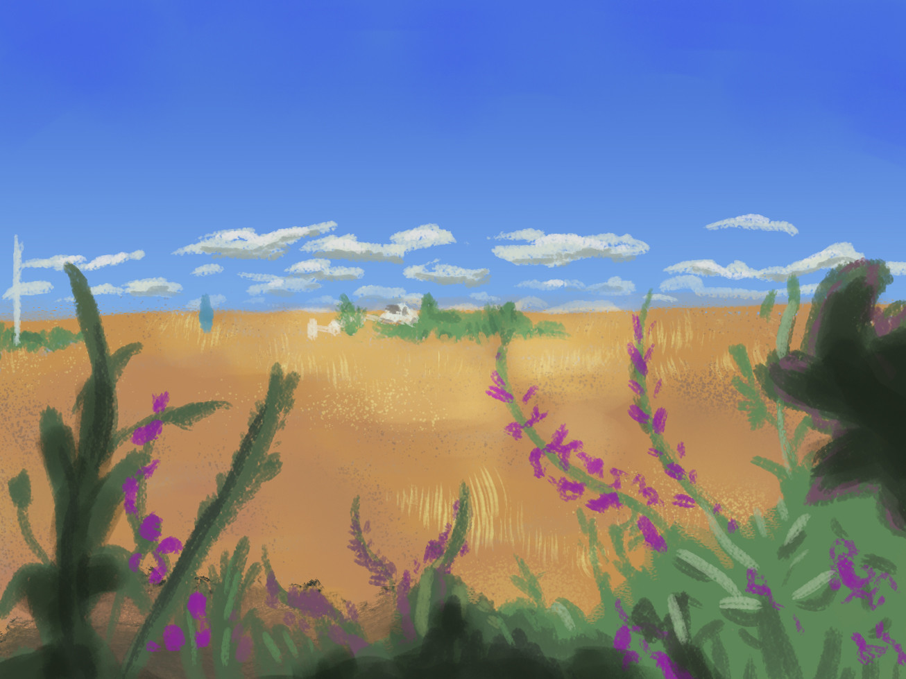 Dry Field With Flowers
