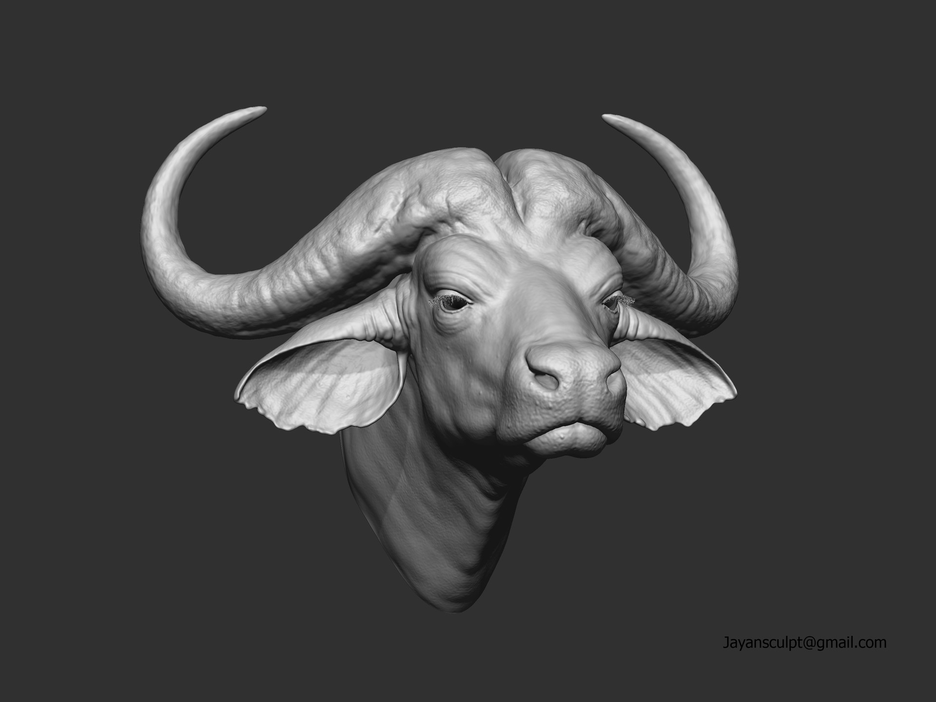 Jayan M Buffalo Head Sculpting Zbrush Over 40,000+ cool wallpapers to choose from. jayan m buffalo head sculpting zbrush