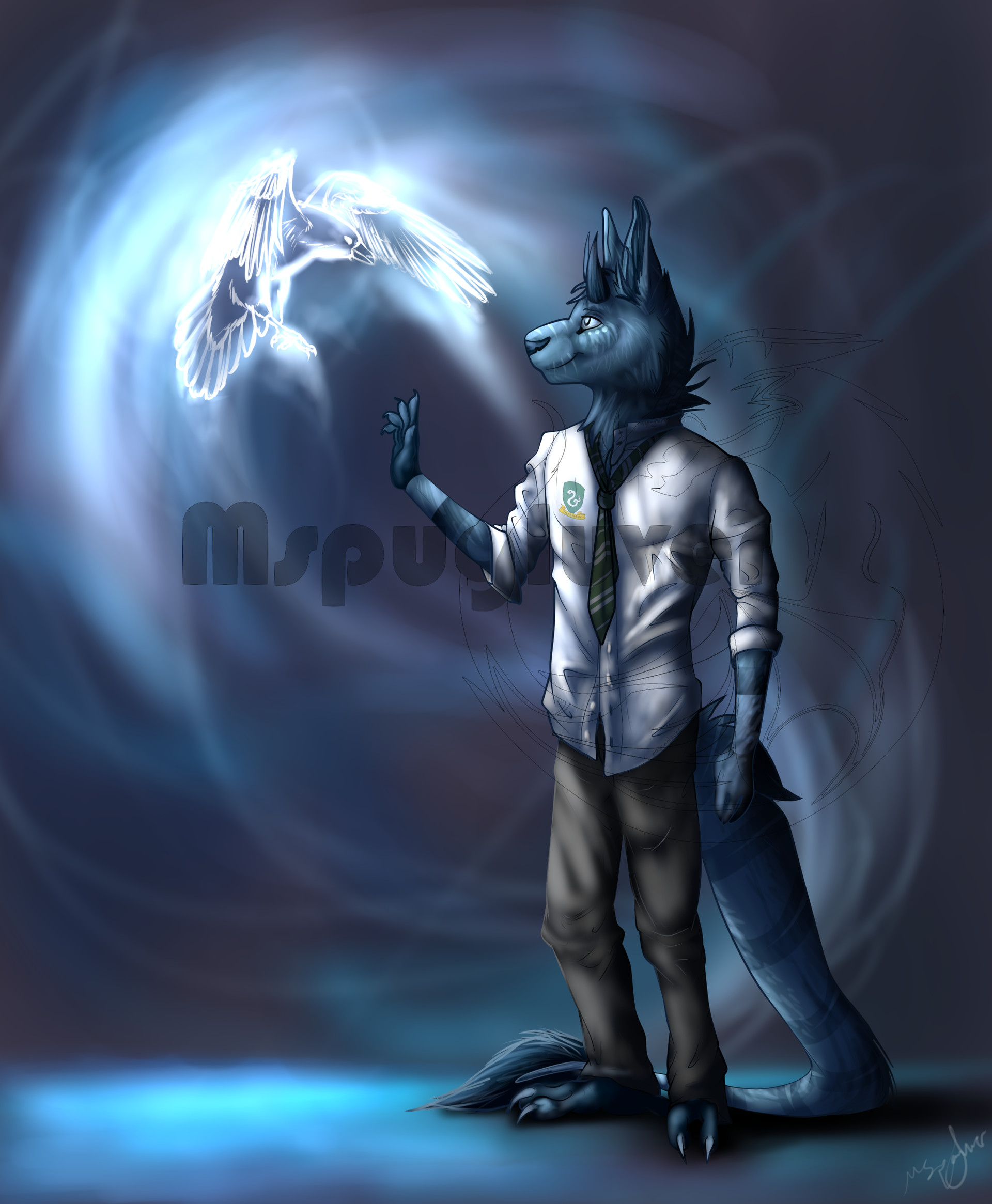 ACT native grassland conservation strategy and action plans, image size:1920x2331