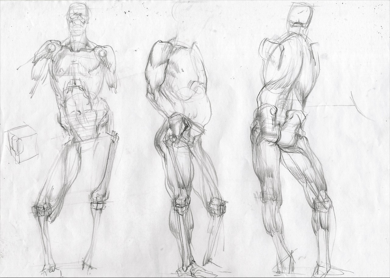 ArtStation - Anatomical studies from life