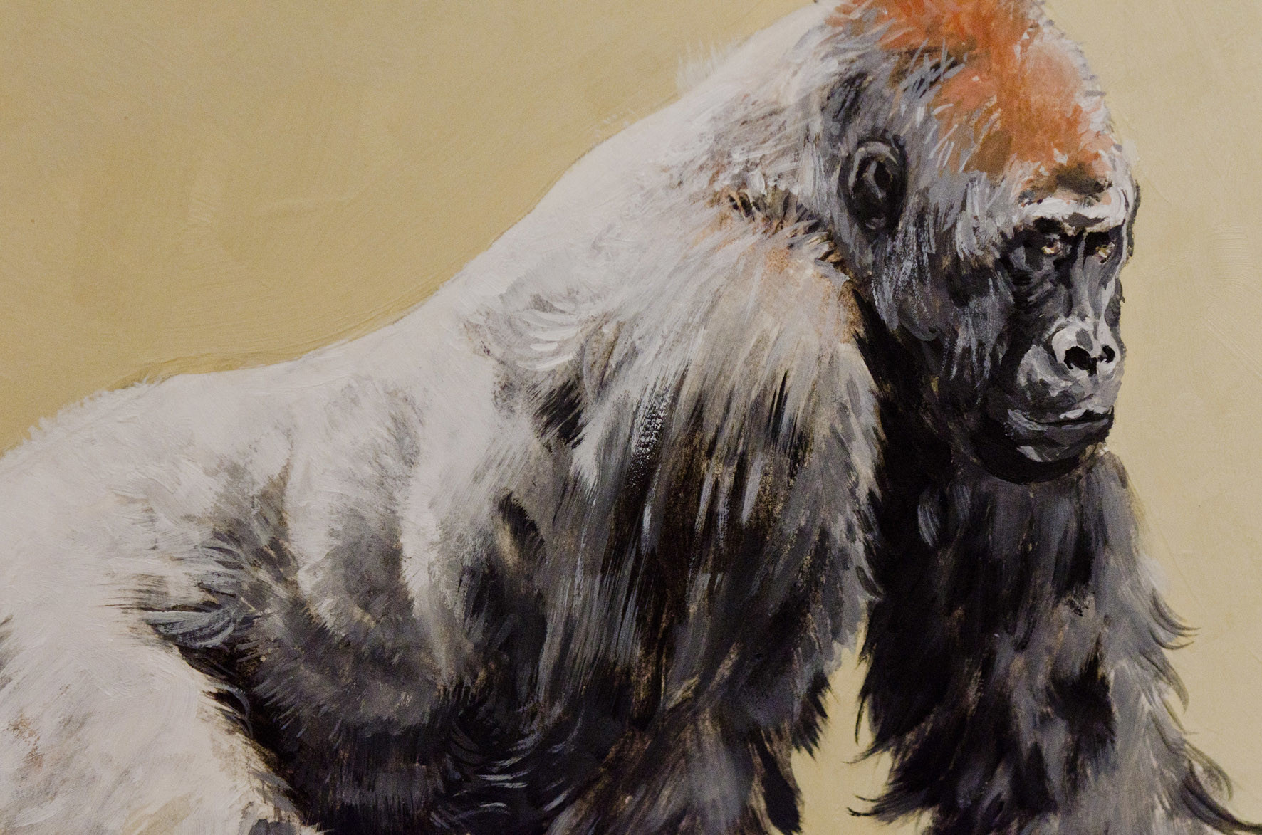 Artstation Animals Paintings And Drawings Richard Marazano