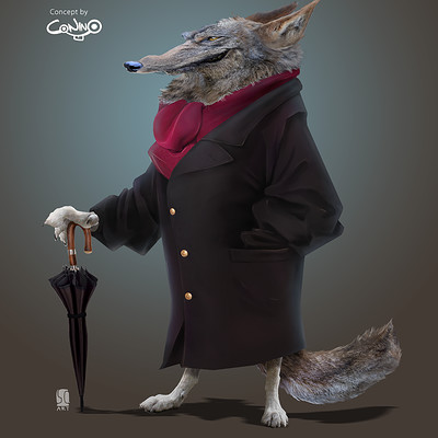 Lobo - Conino