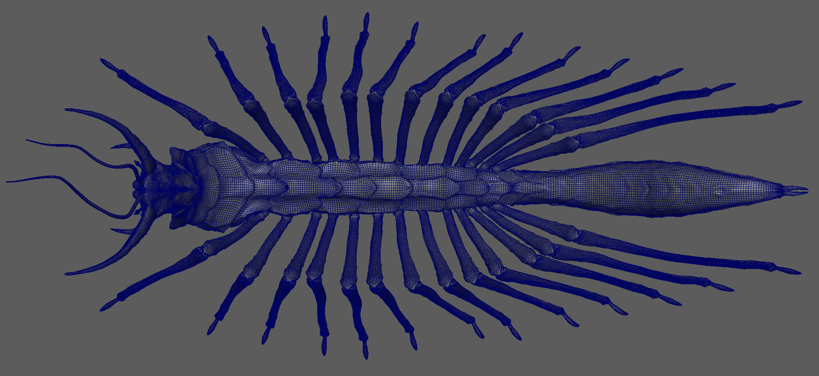 centipede topology