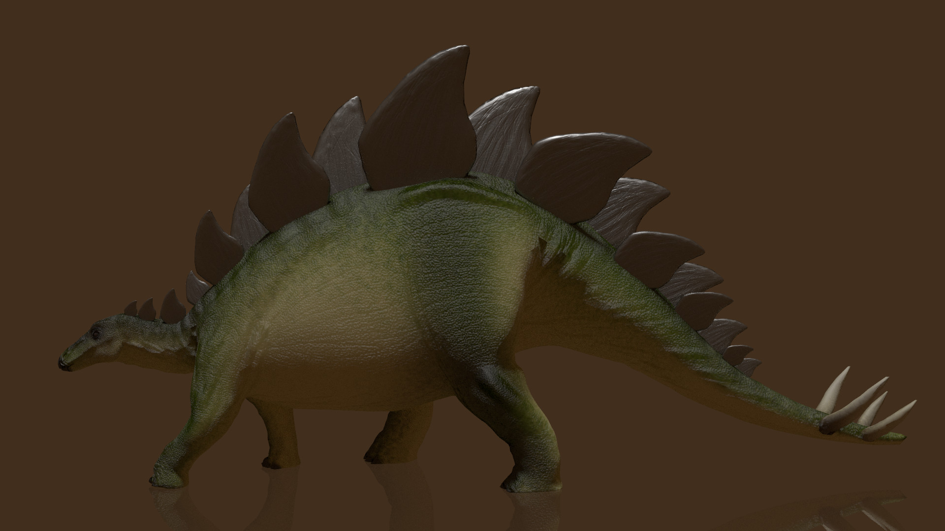 stegosaurus evolution