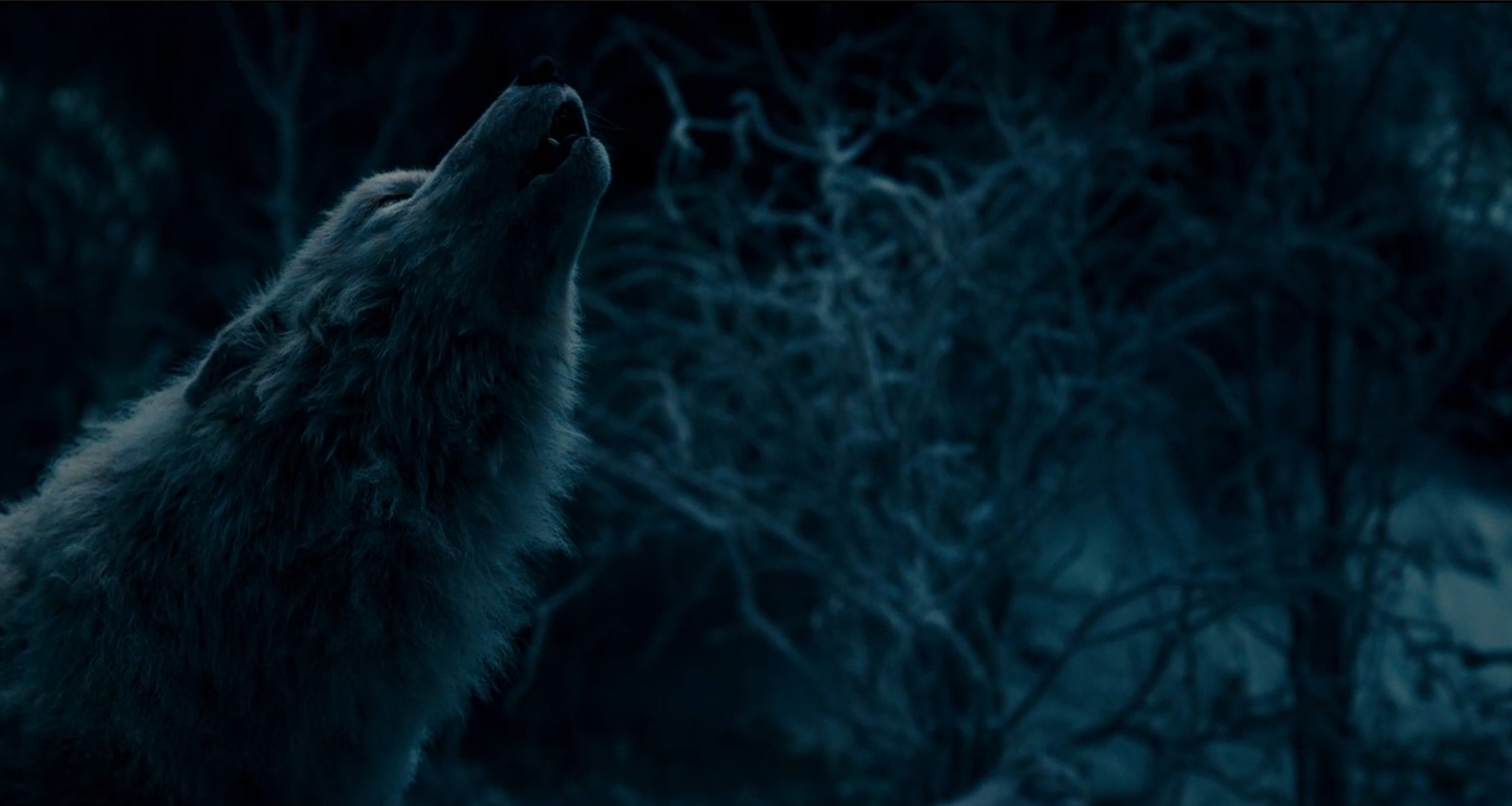 body and muscle shapes and jiggle