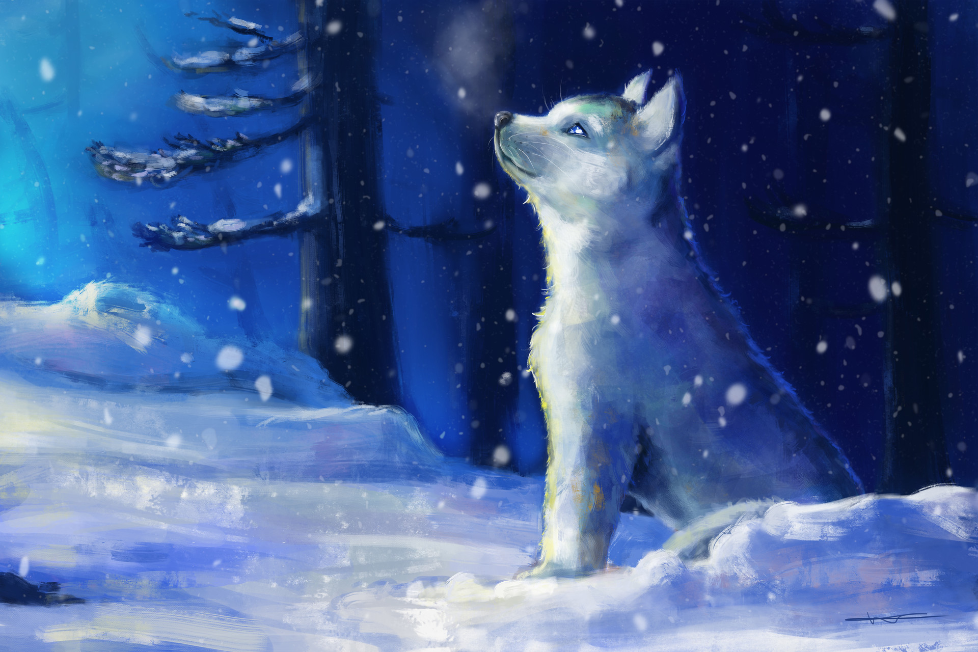 Baby husky in snow sales