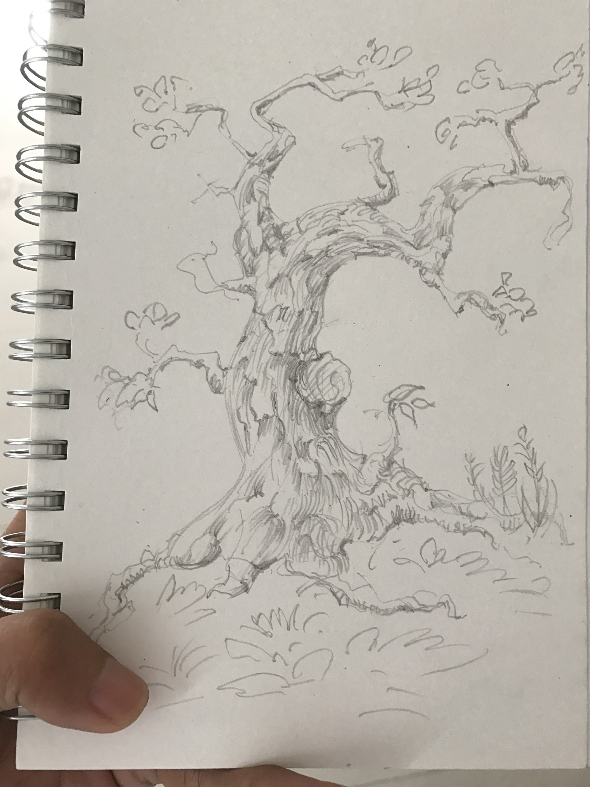 Artstation Sketch A Day Cgshare Book