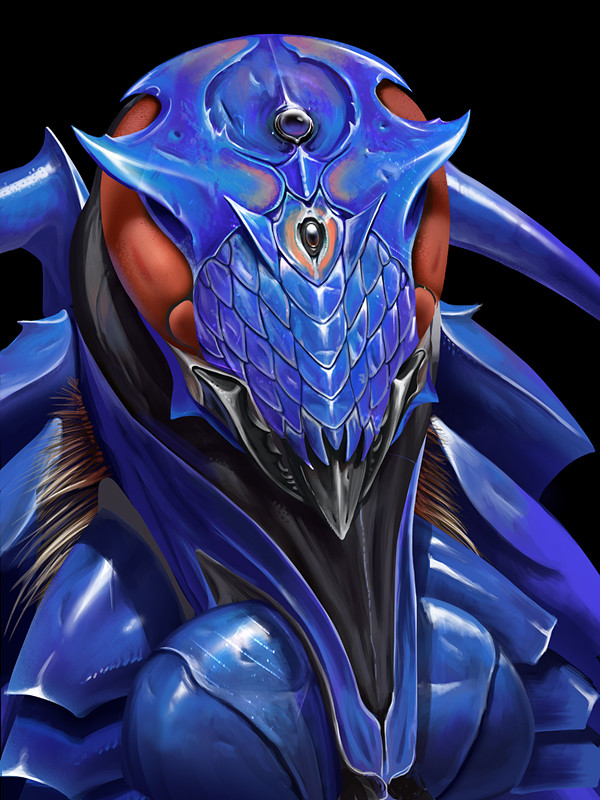 Alternative color option