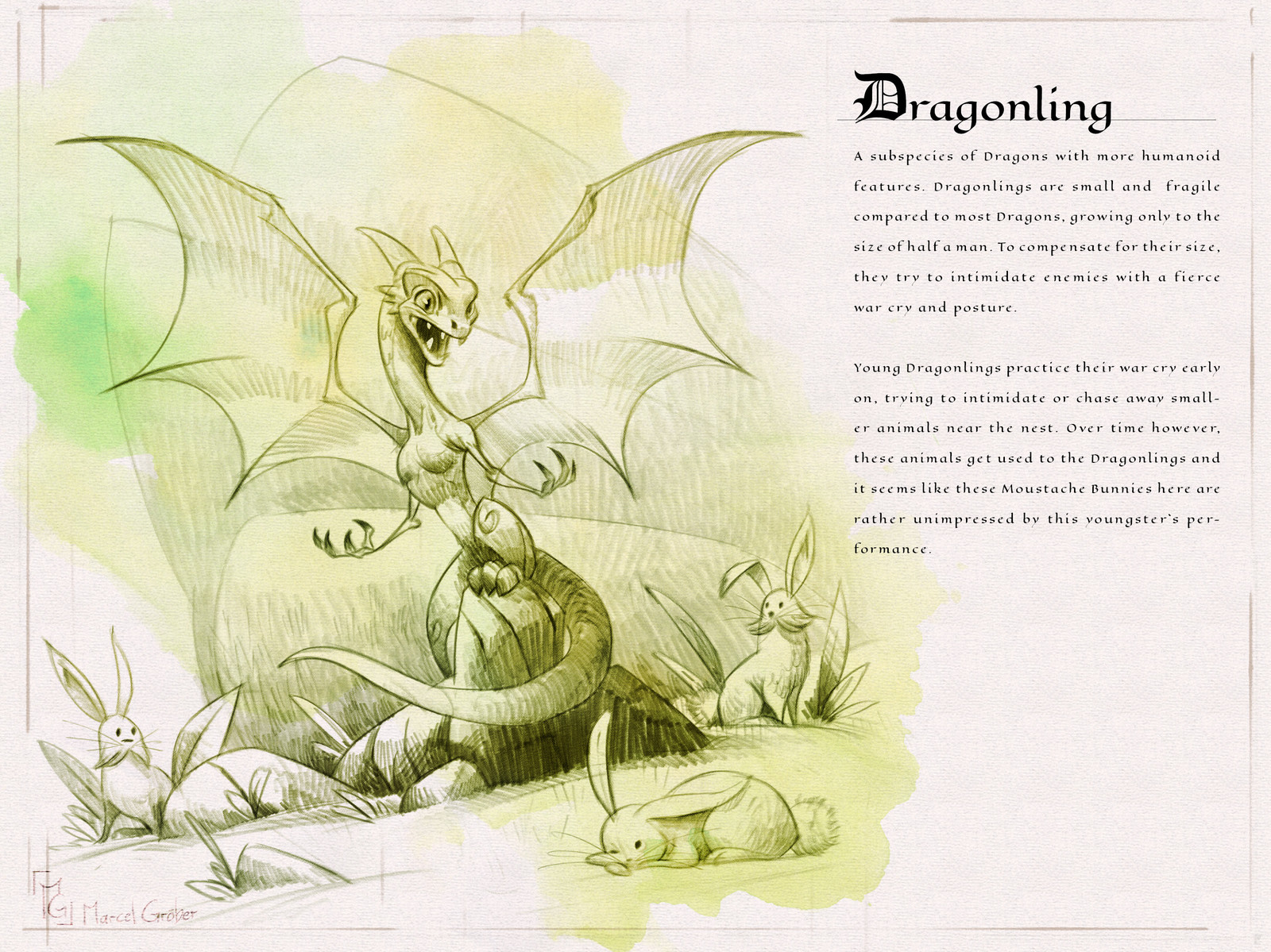 Page one of the  Dragon Compendium showing and describing the Dragonling