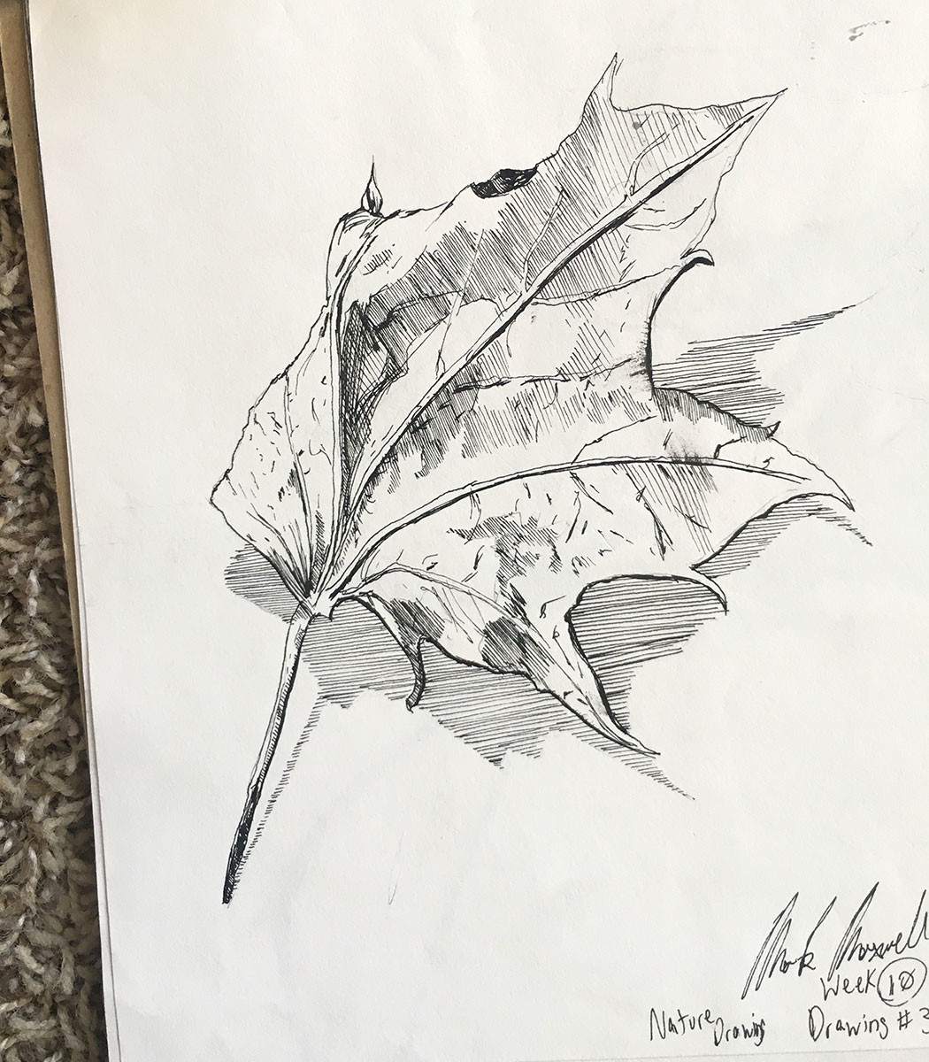 8" x 10" sketchbook study of a leaf.