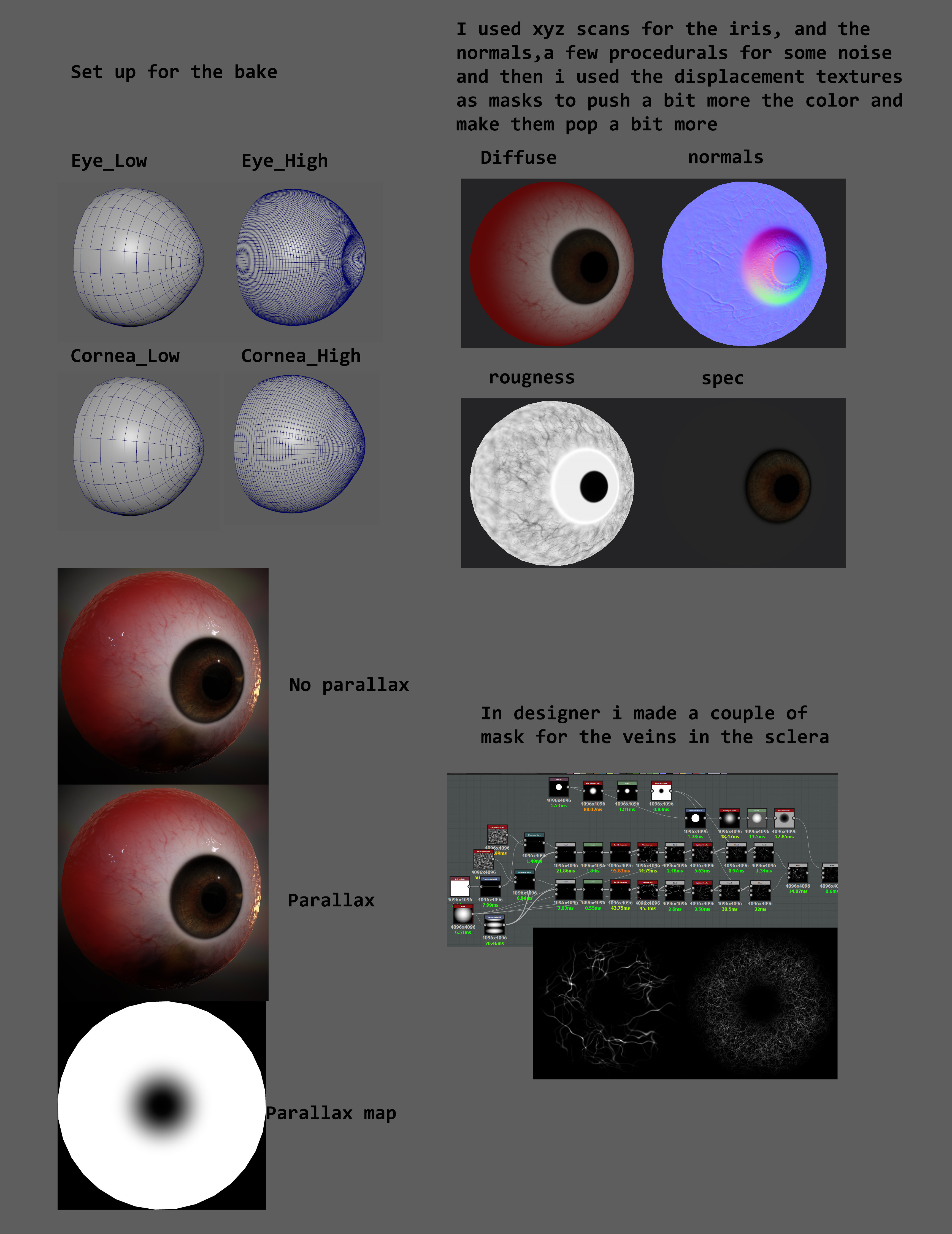 quick overview of the eyes