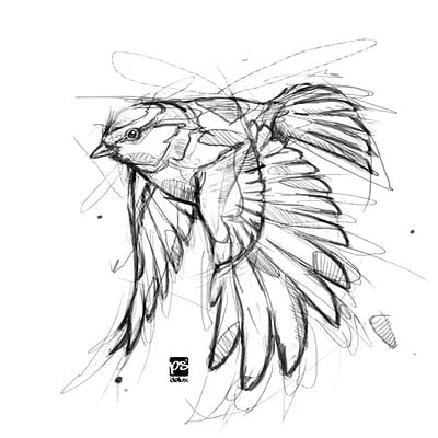 Psdelux birdy sketch psdelux