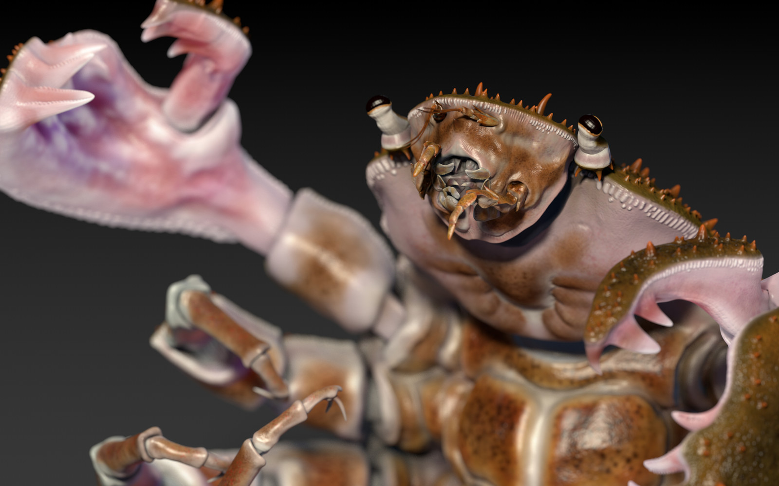 Transpose zoom