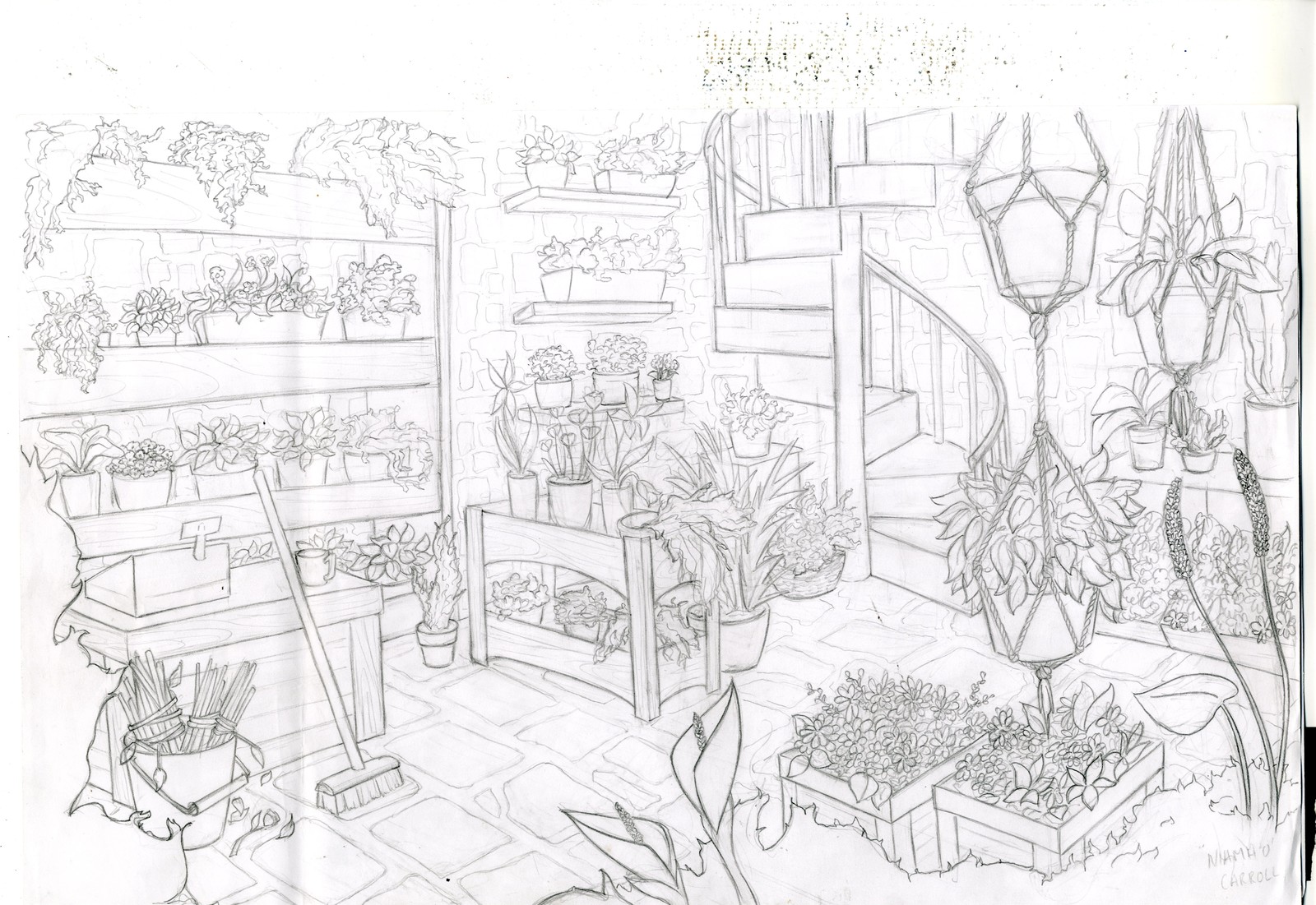 niamh-o-carroll-flower-shop-2point-layout