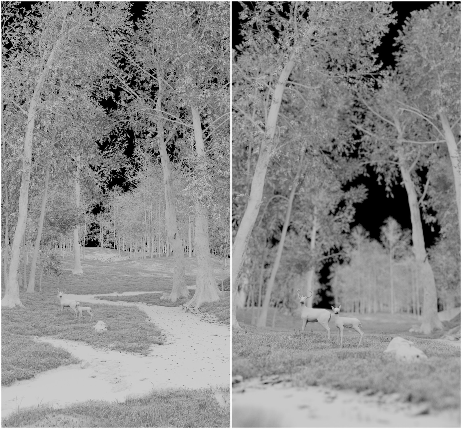 Ambient Occlusion