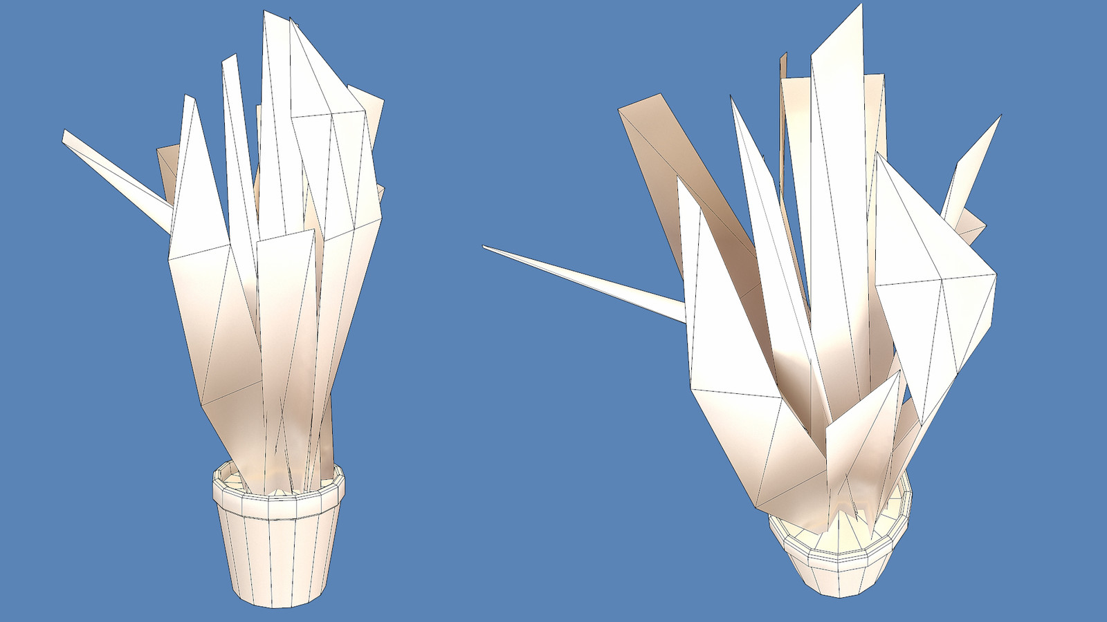 Snake Plant - Wires
341 Tris