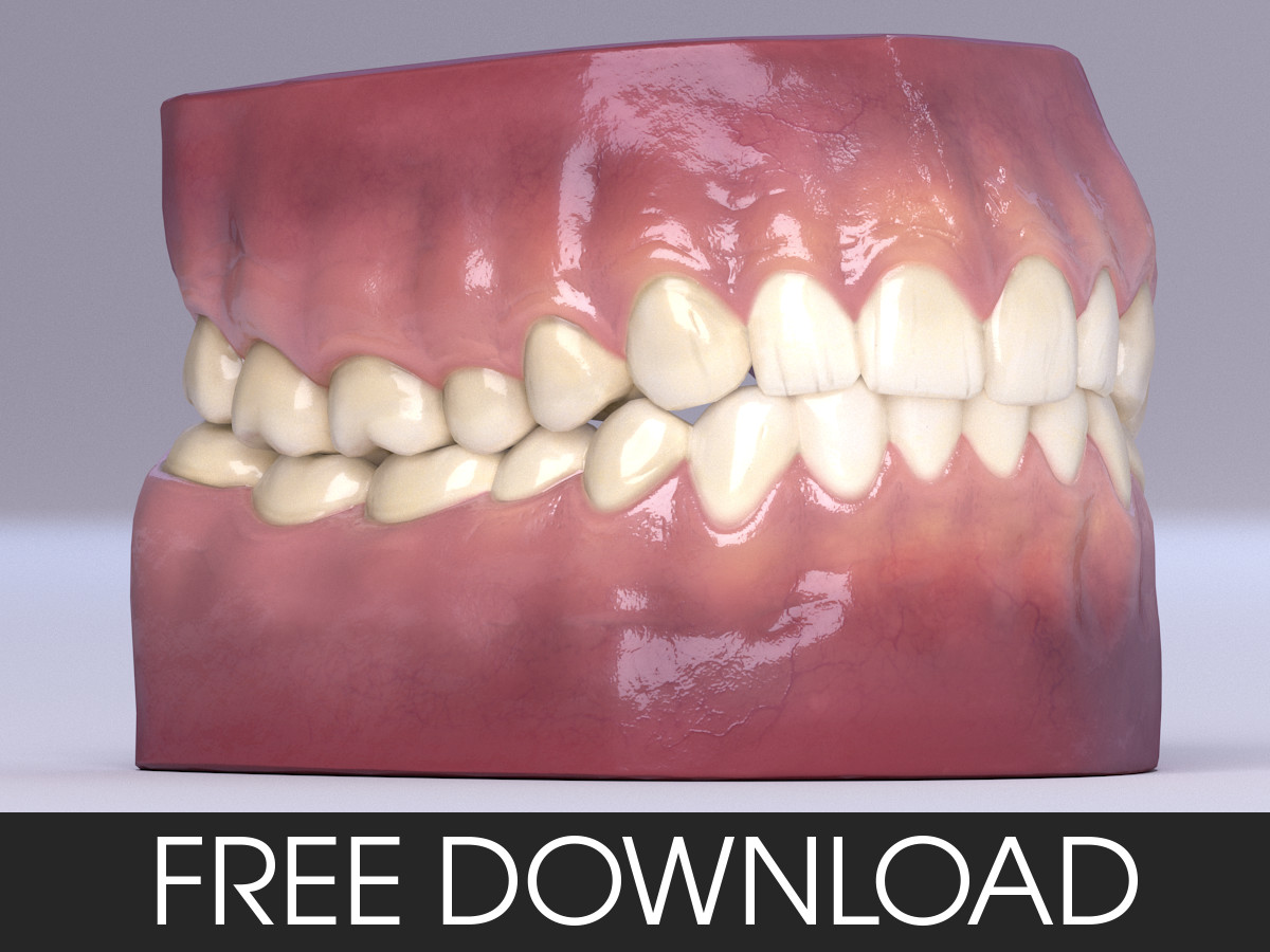 Artstation Realistic Teeth 3d Model With Textures Simon Telezhkin
