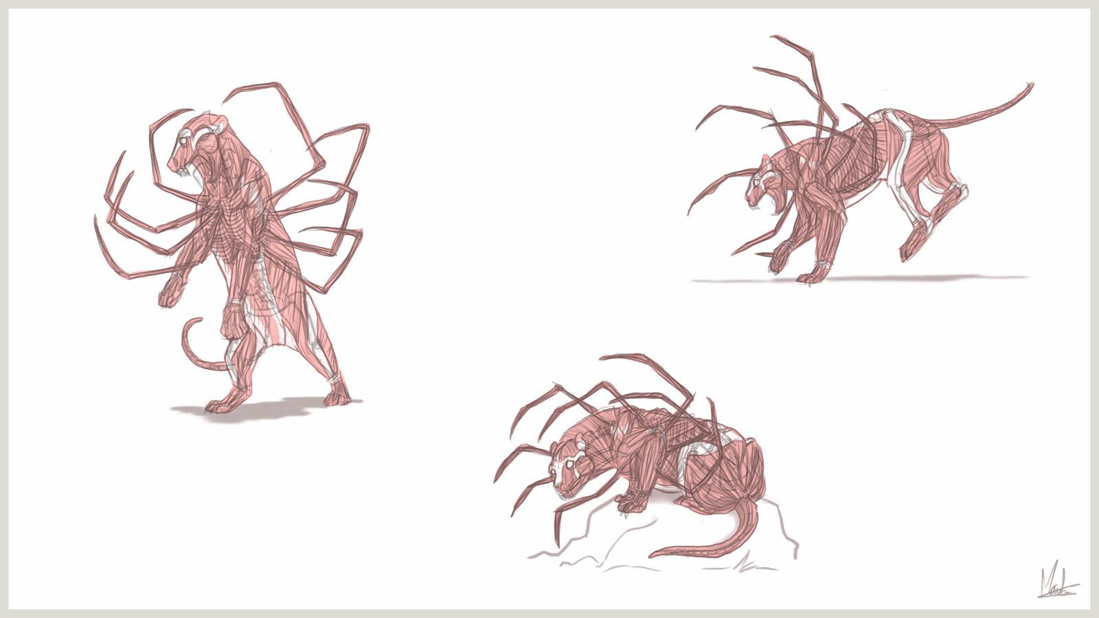 Sheet 2 - muscles