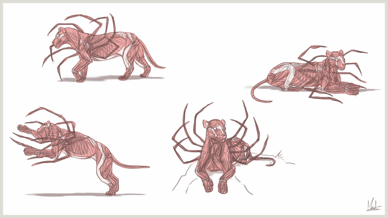 Sheet 4 - muscles