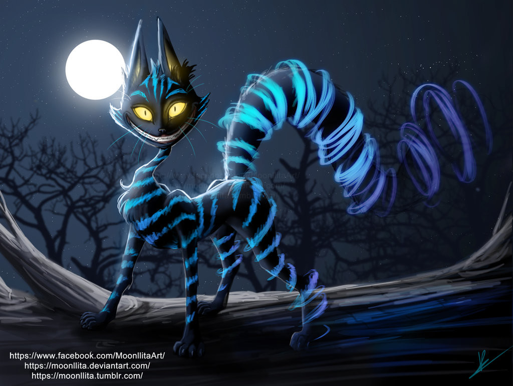 Tumblr Drawings Alice In Wonderland Cat Easy