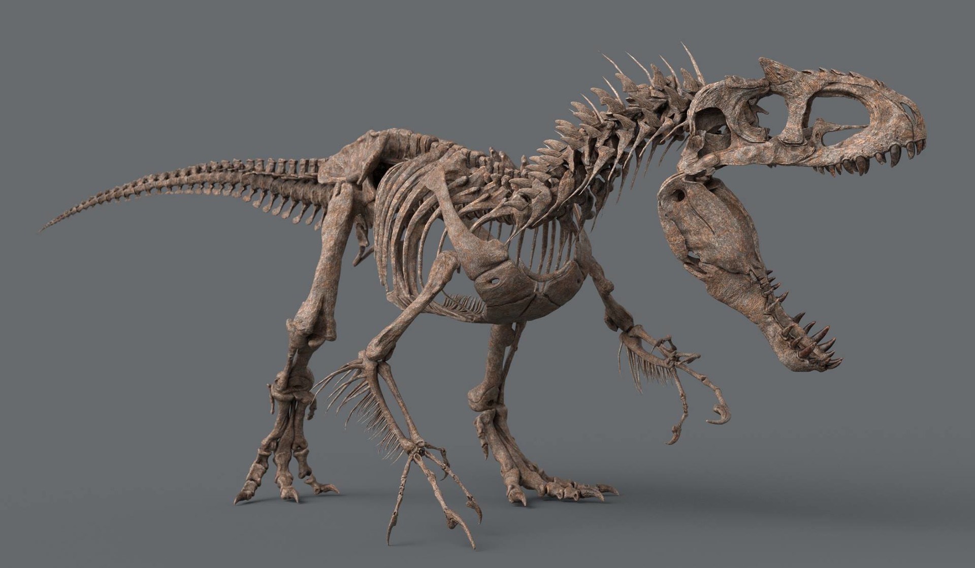 i rex skeleton