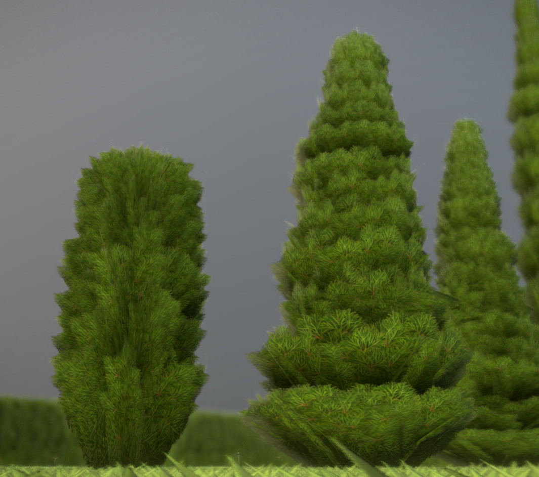 Some cypresses in different sizes.