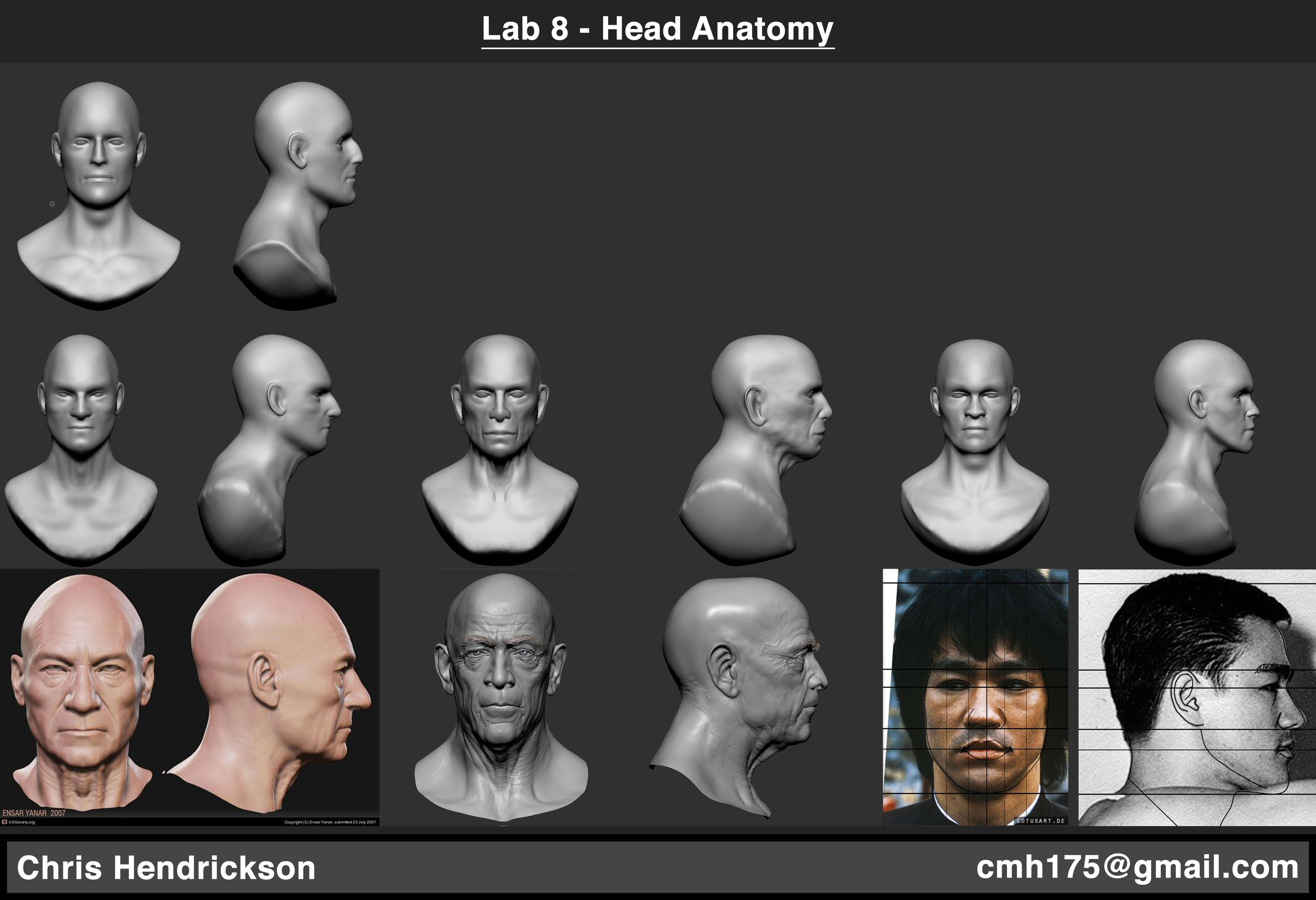 Week 3 Head Anatomy Study (bottom row are references). 