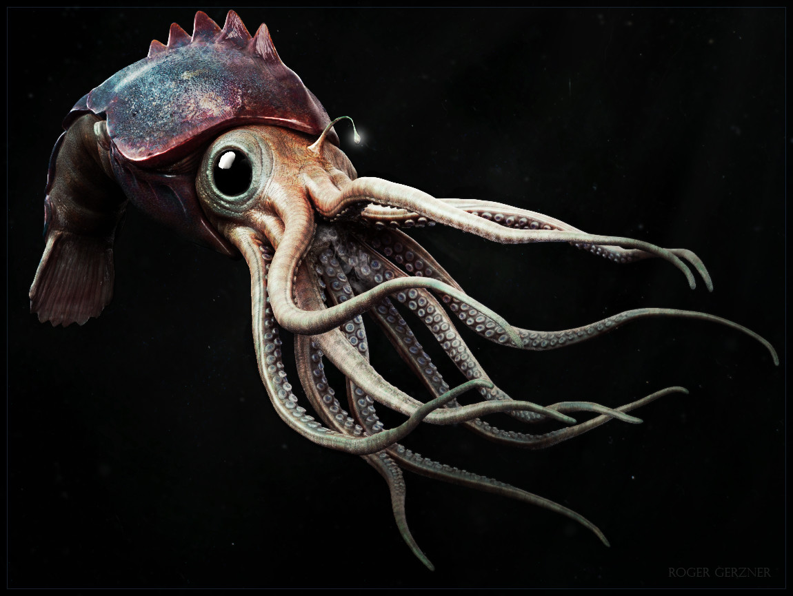 Squid Kaiju Baby 