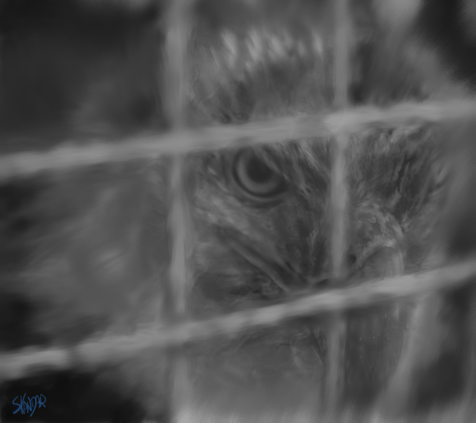 "America under House arrest"
The countries symbol of freedom; The Bald Eagle behind bars, no flight, no fight..