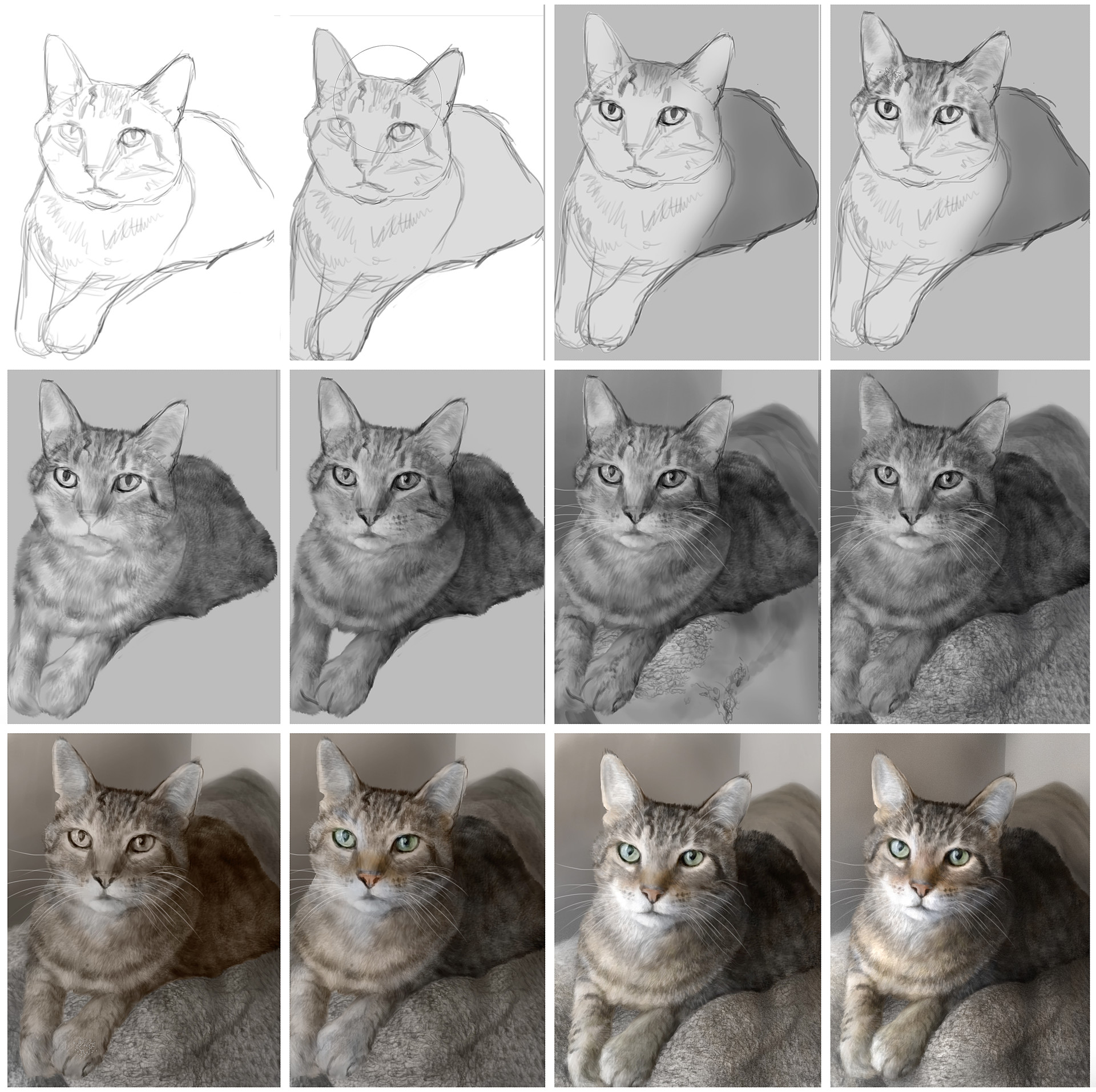 Artstation Photo Realism Exercise Digitally Painting A Cat