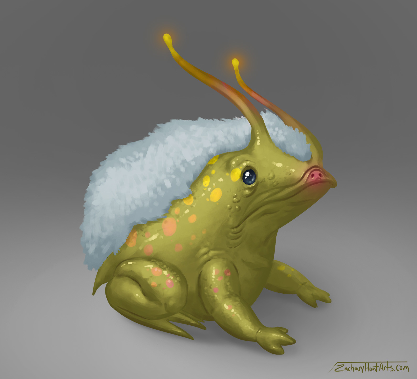 ArtStation - Fluffy frog concept