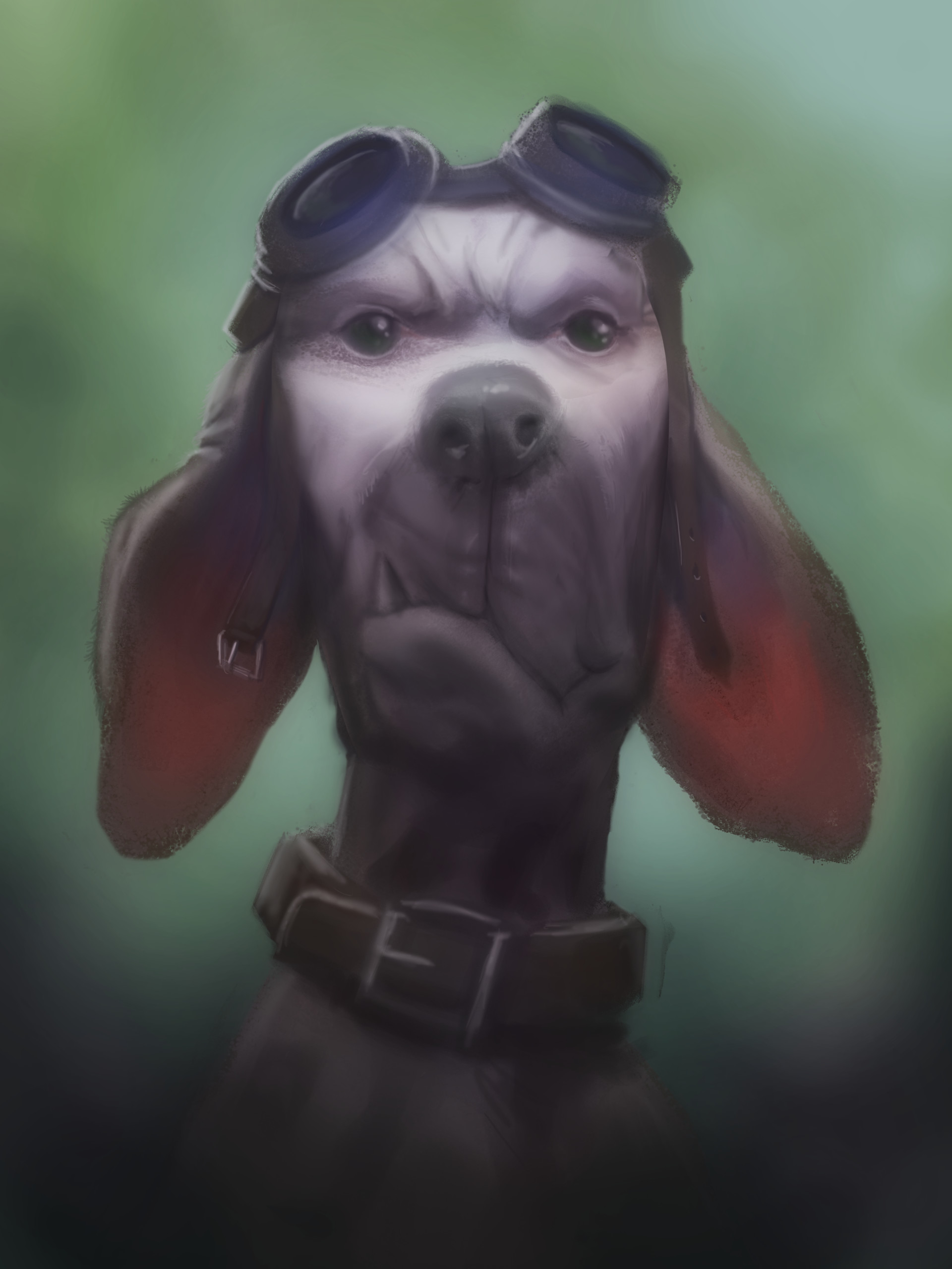 Sergei Dragunov - Angry dog pilot