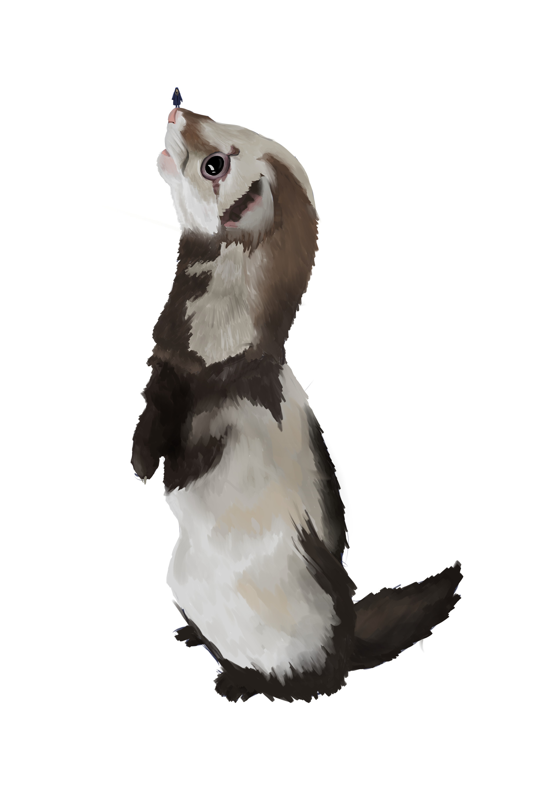 Karin WildFire Giant Ferret