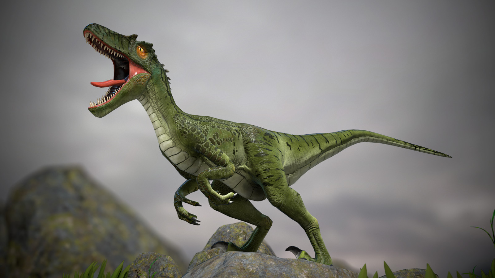 Raptor TRX