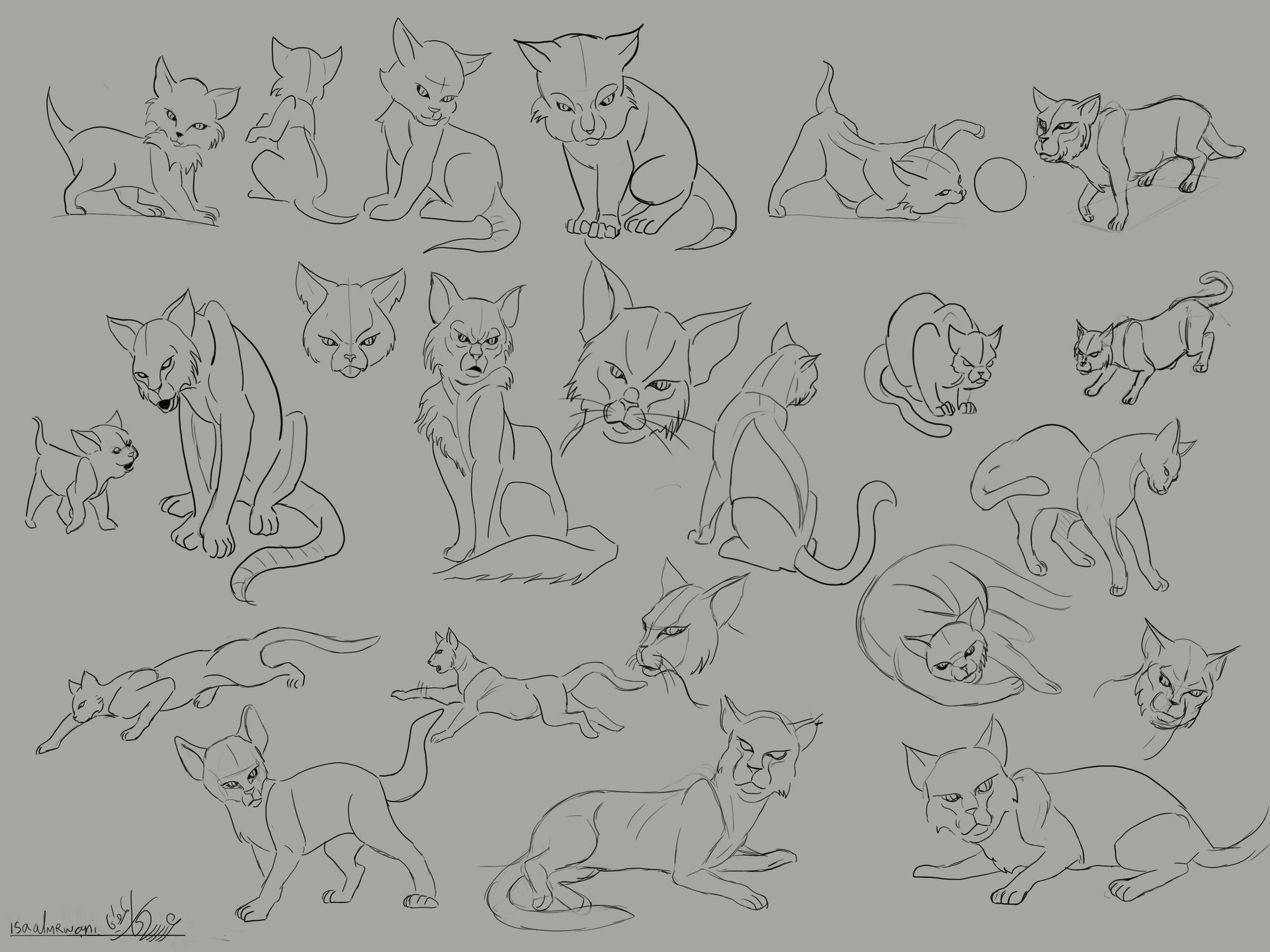 Isa Almrwani The Art Of Isa Almrwani Animal references for drawing | cat poses drawing cat pose practice by novum 40 easy illustrated animal sketch drawing ideas. isa almrwani the art of isa almrwani