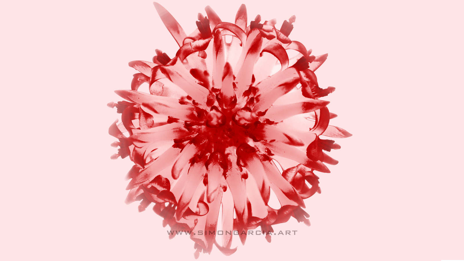 Bromelia Light Version.