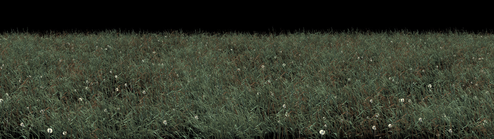Piece of grass patch, full res