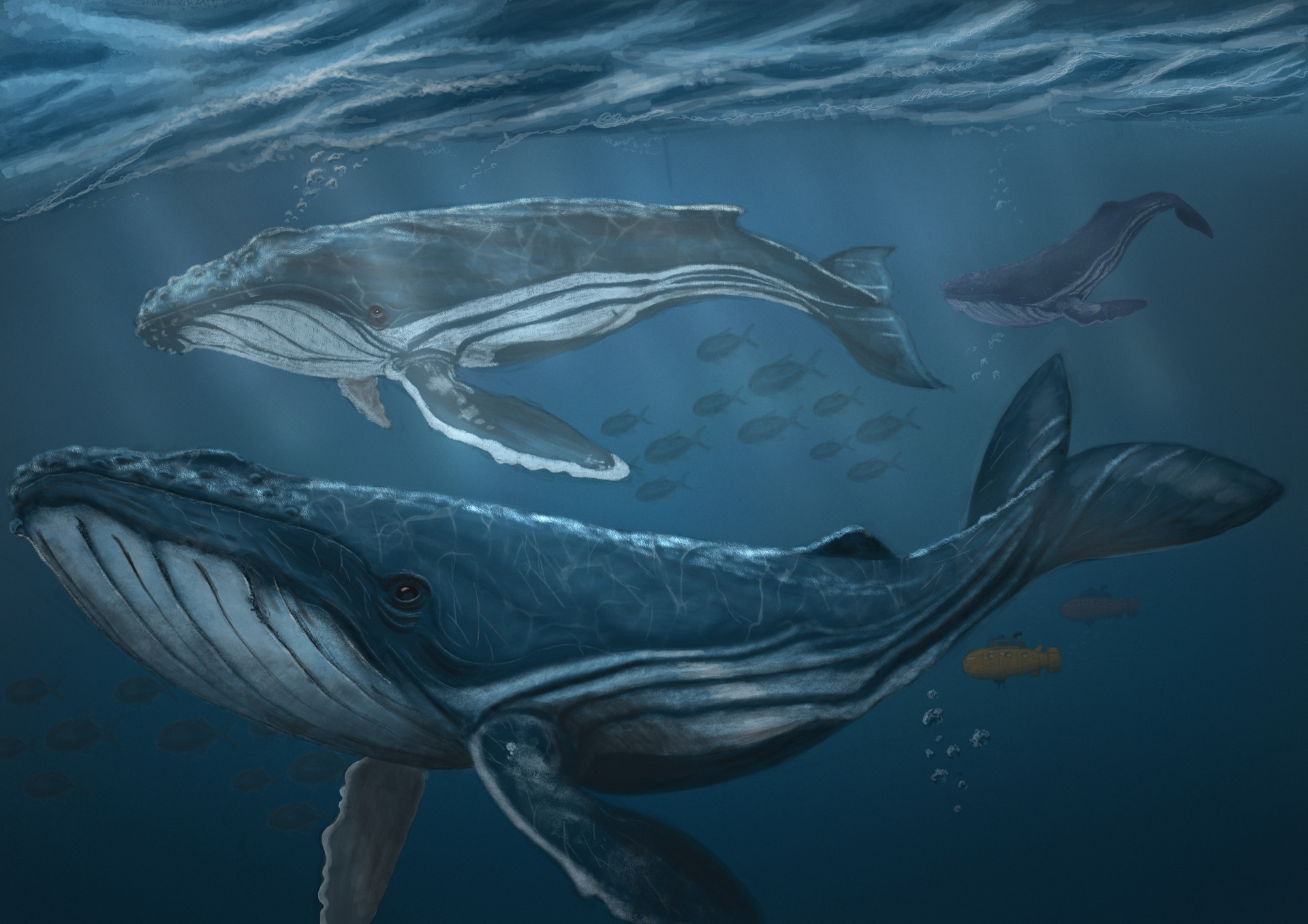 ArtStation Zebra Whales