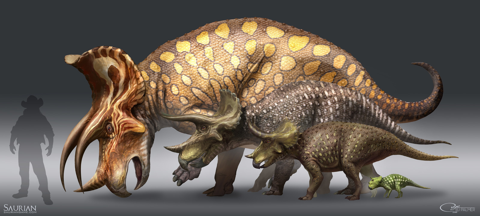 Full Triceratops ontogeny