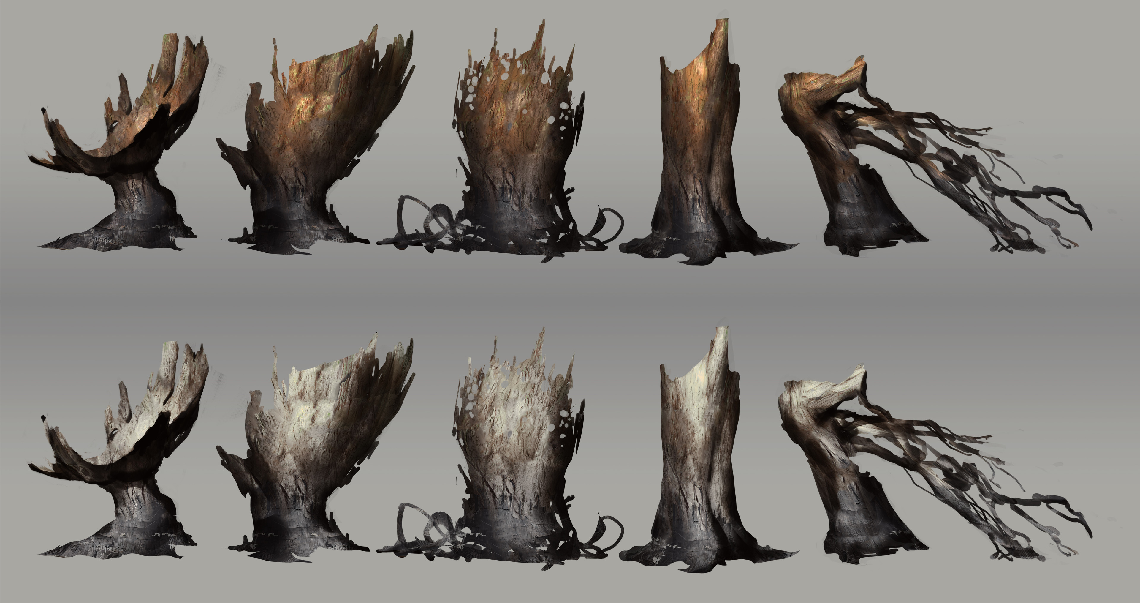 Tree shape exploration
