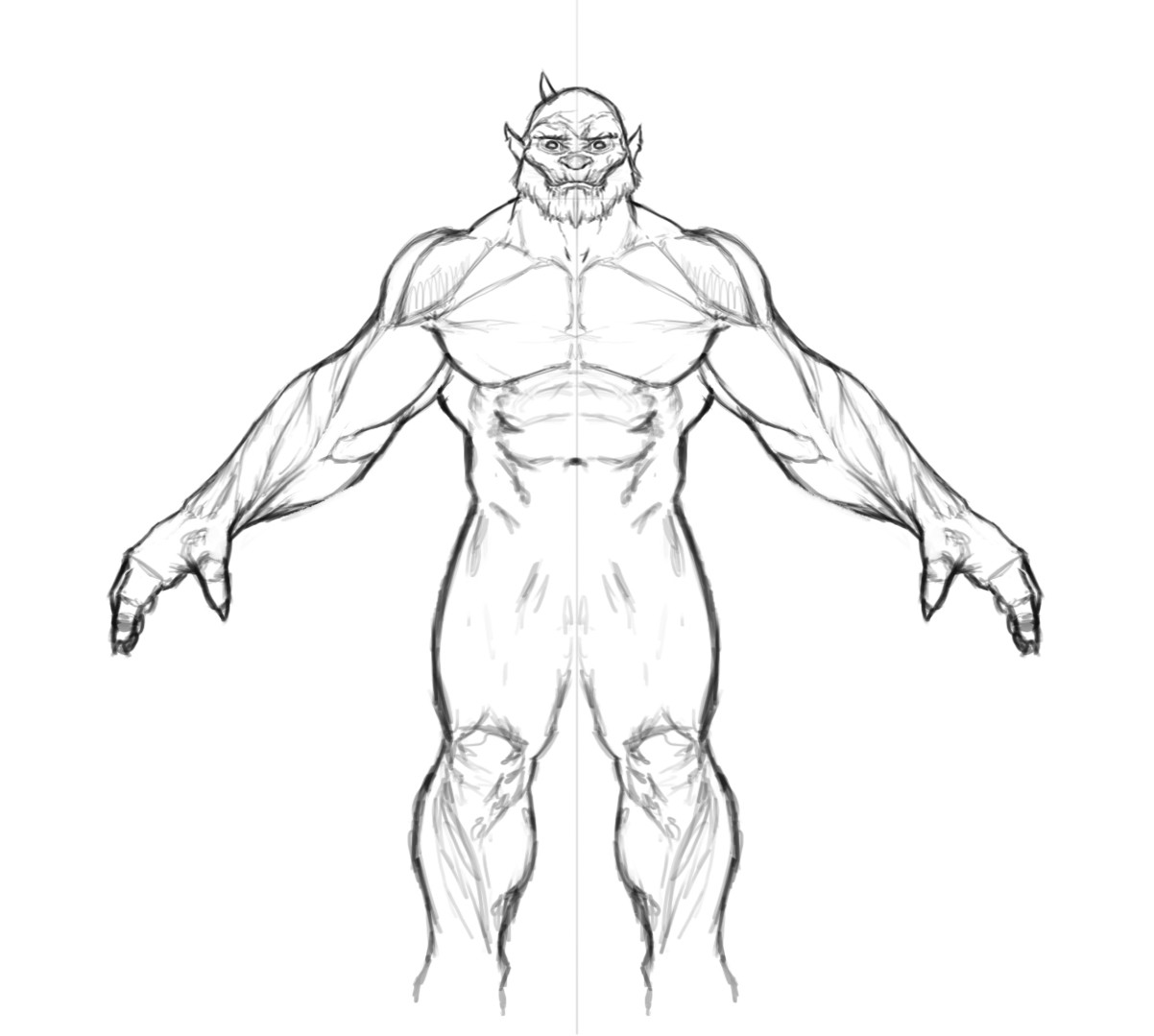 Front Muscle Study.