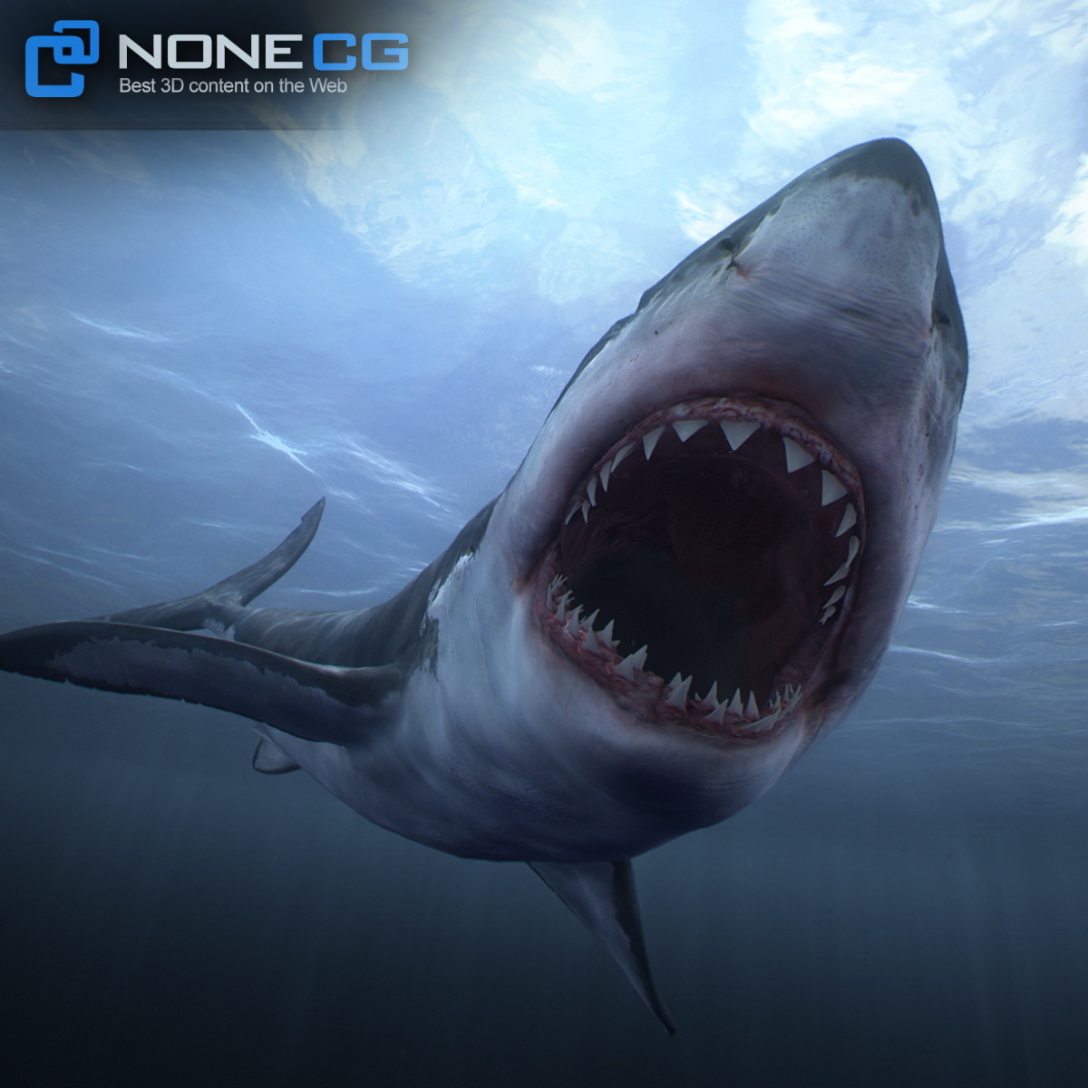 3D Great White Shark by NoneCG