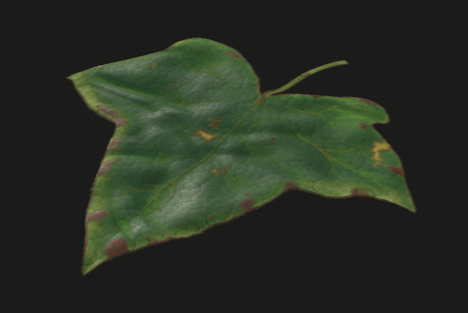 Leaf example -&gt; bugs!