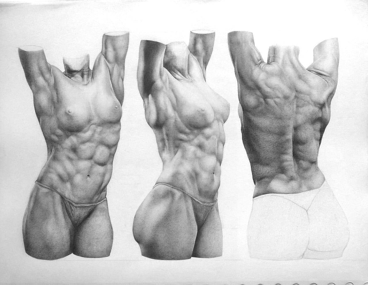 Artstation Anatomy Study Female Torso Carlos Wolfgram