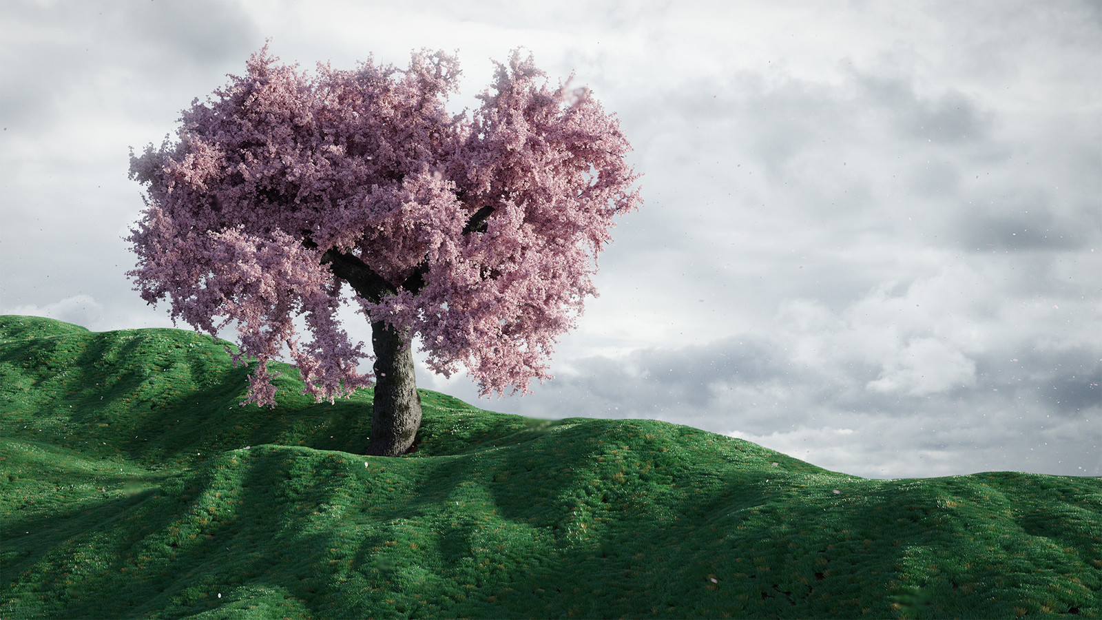 Blossom