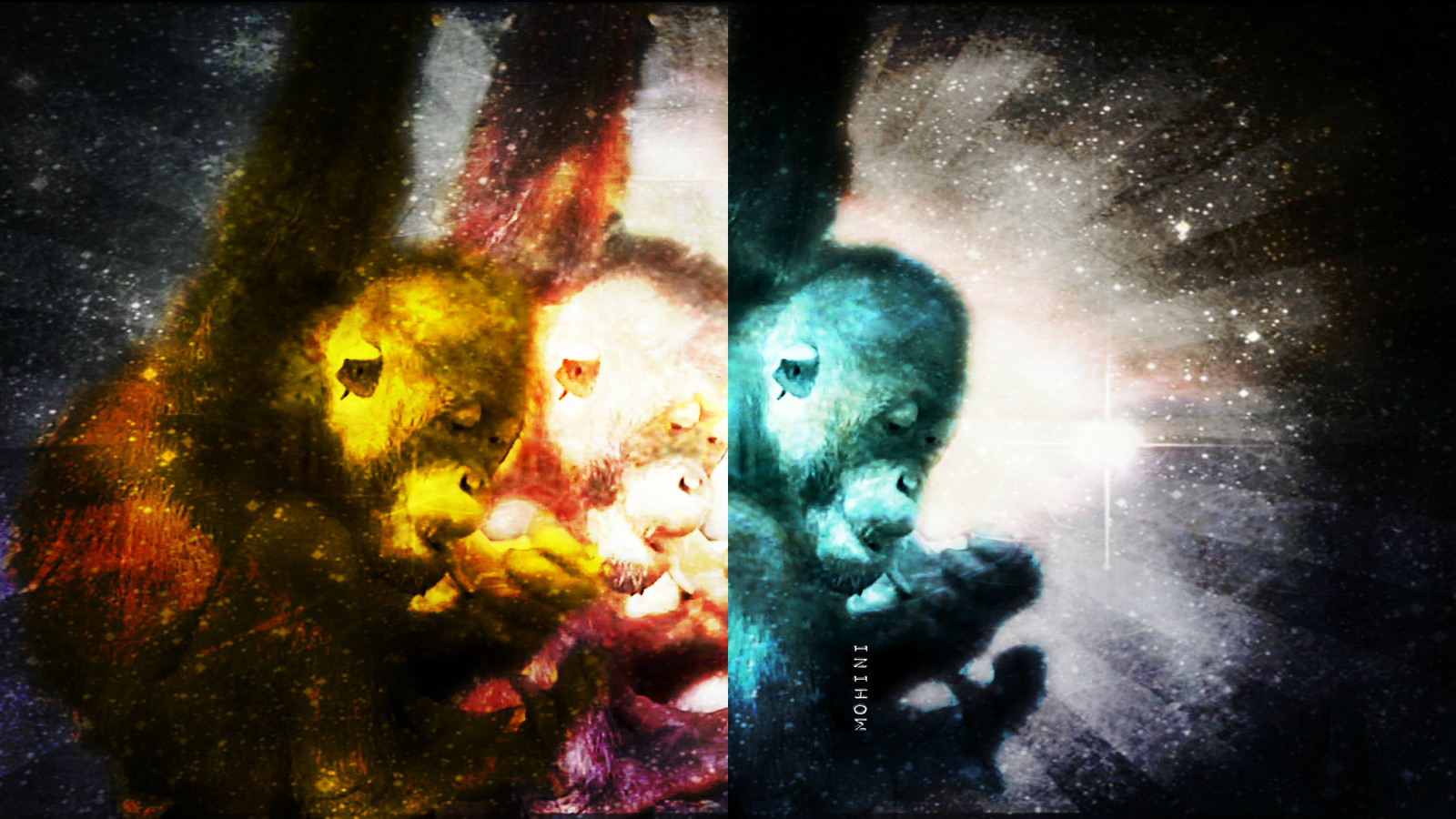MONKEY MESS