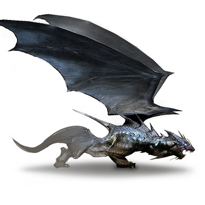Dragon Sketches