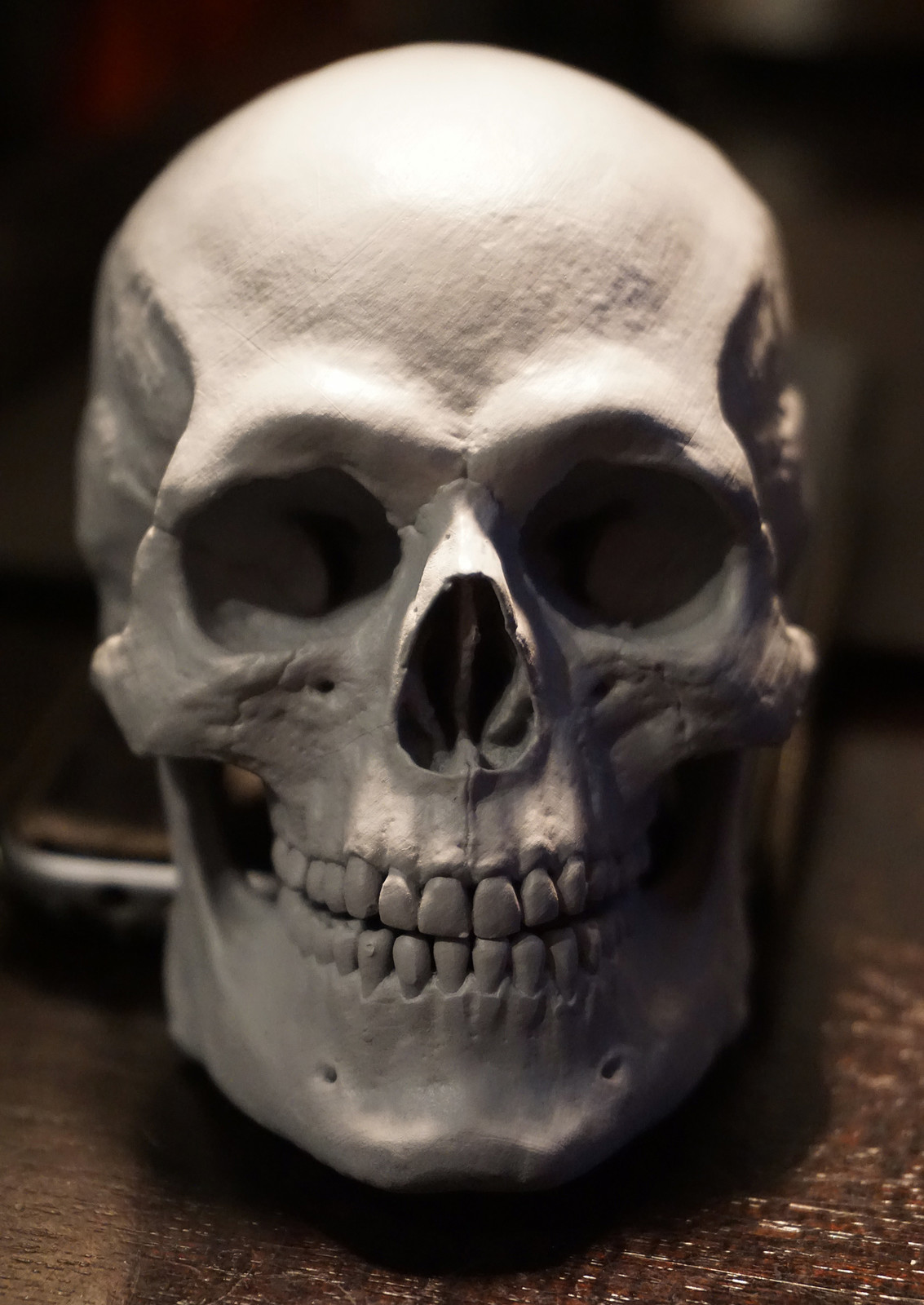 A 3D print of the skull - about the size of a tennis ball.