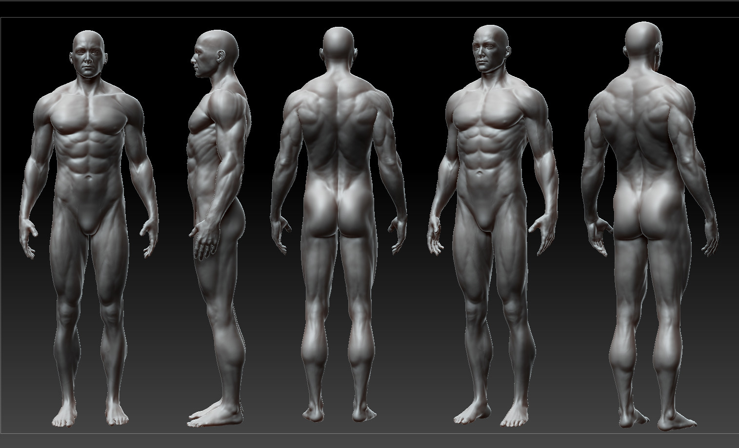 Artstation Male Anatomy In Motion Abhinandan Ghosh